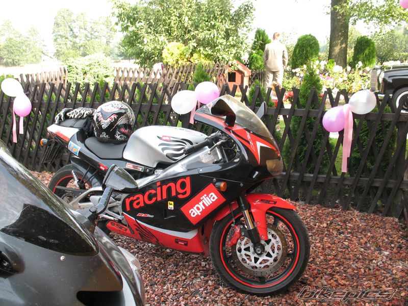 2001 APRILIA RS 125 | Picture 2339510 motorcycle photo