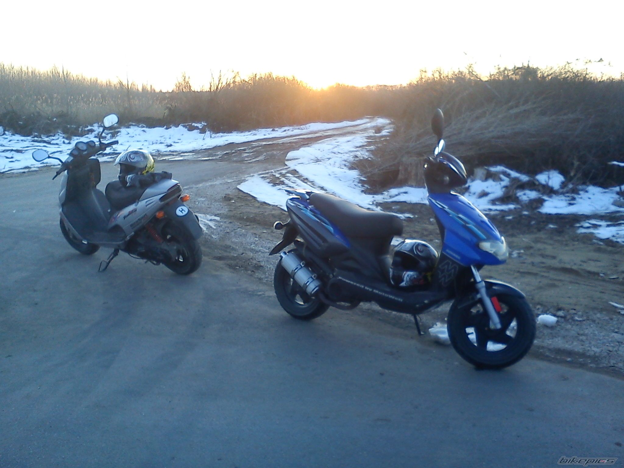 2000 MALAGUTI F 12 50 | Picture 2339632 motorcycle photo