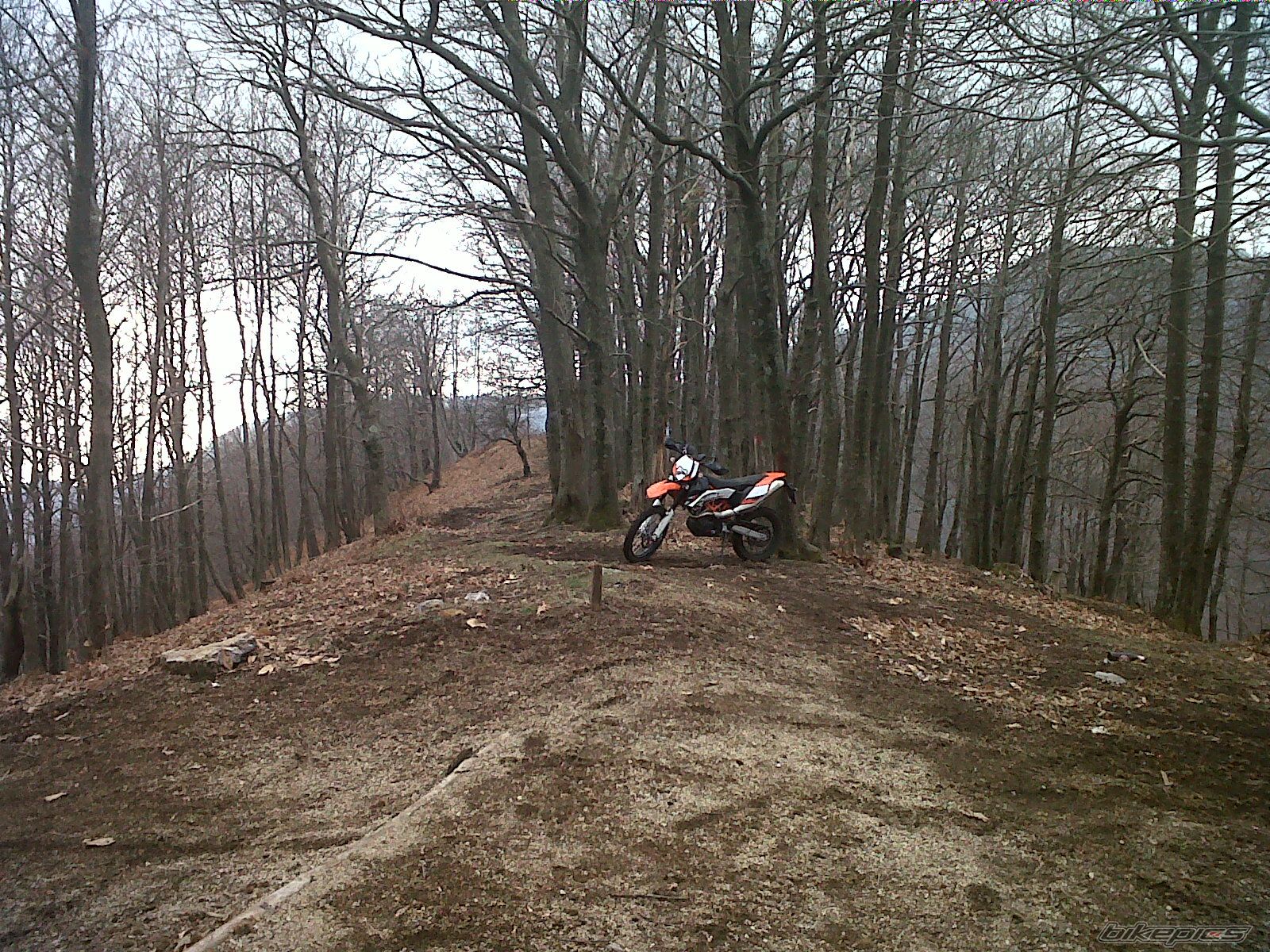2011 KTM 690 ENDURO | Picture 2340123 motorcycle photo