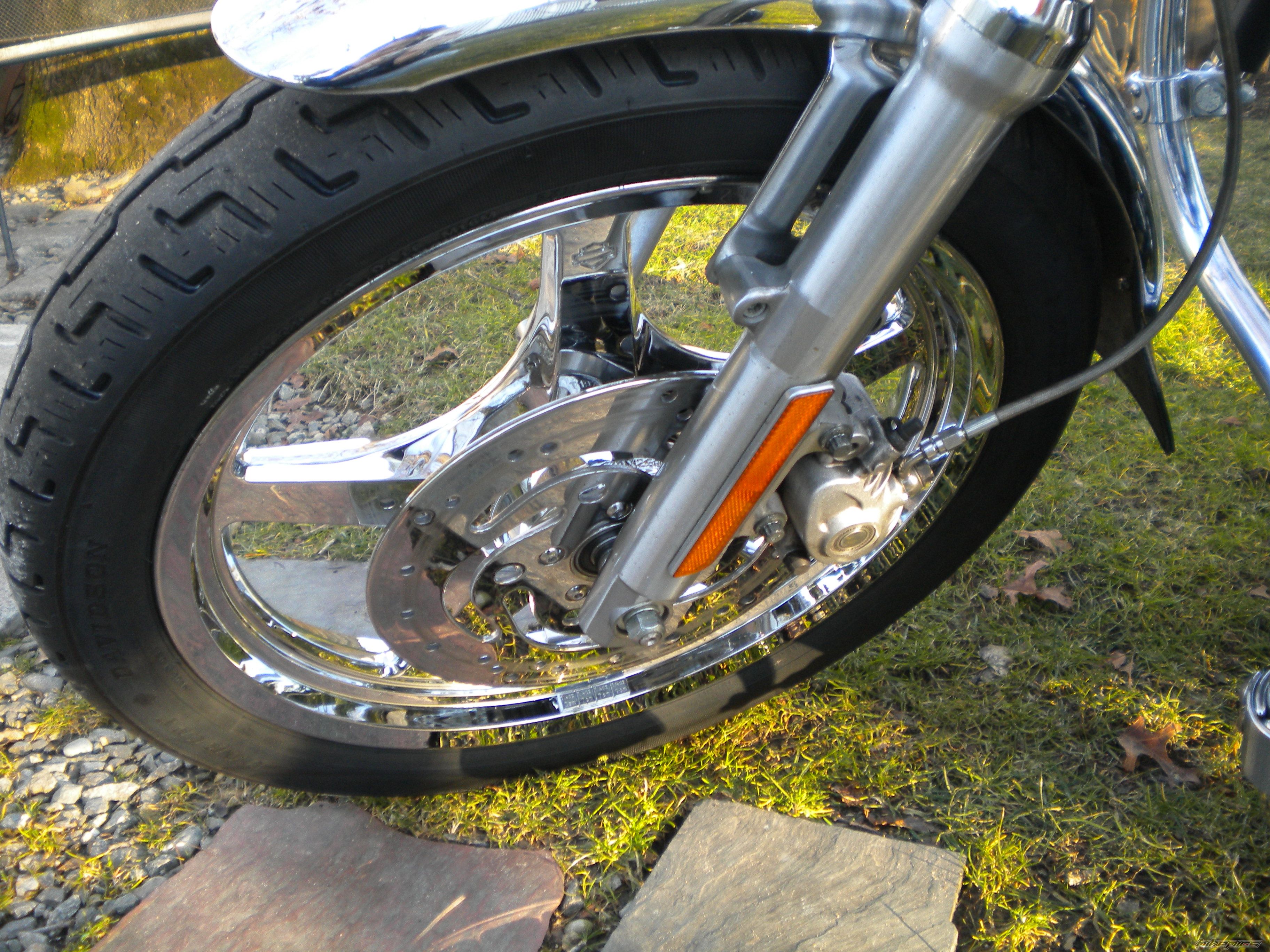 2007 HARLEY DAVIDSON XL 883 SPORTSTER | Picture 2340702 motorcycle photo