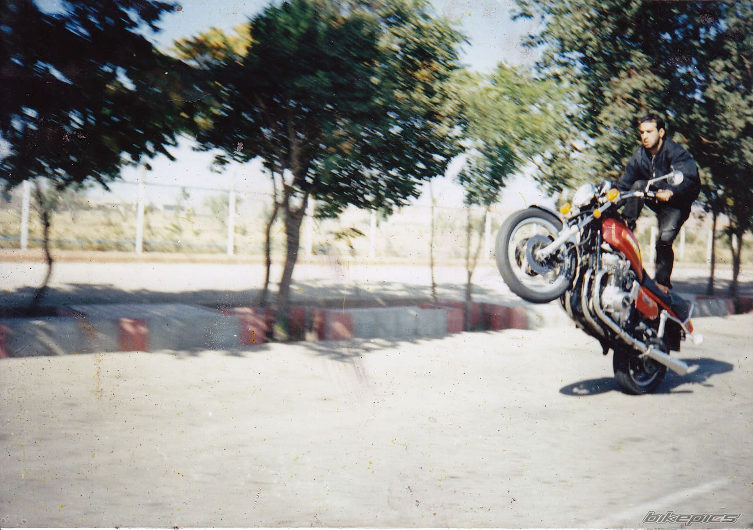 1981 SUZUKI GS 1000 | Picture 2340716 motorcycle photo