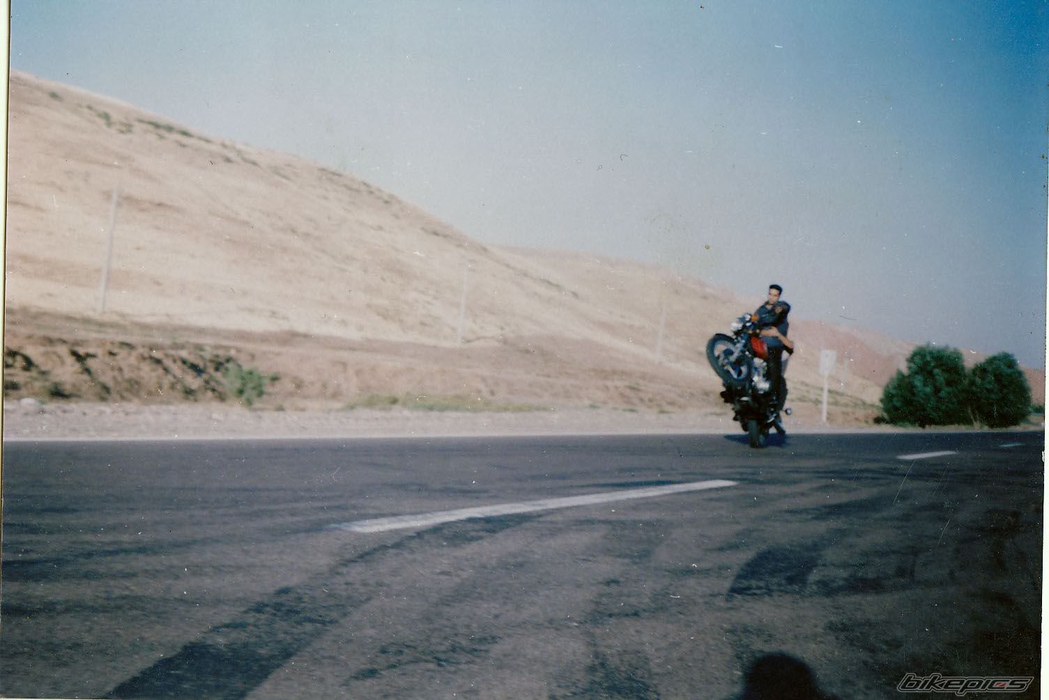 1981 SUZUKI GS 1000 | Picture 2340725 motorcycle photo