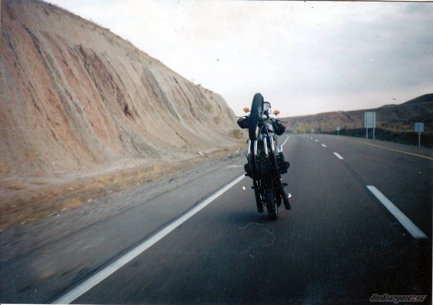 1981 SUZUKI GS 1000 | Picture 2340728 motorcycle photo