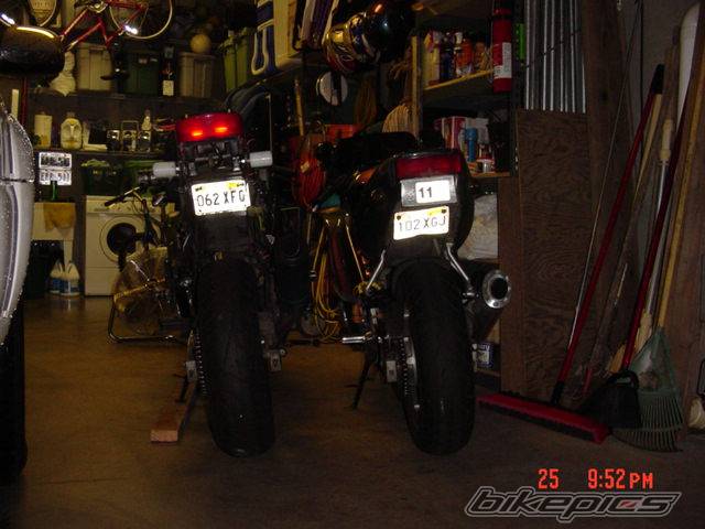 1996 HONDA CBR 600 | Picture 234079 motorcycle photo