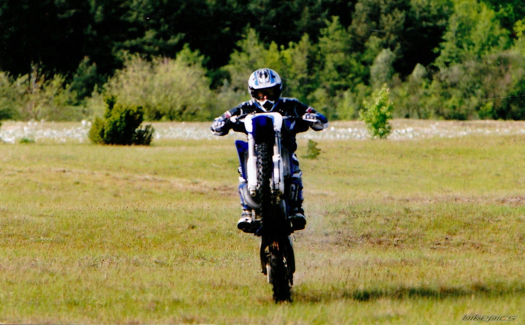 2001 YAMAHA YZ 125 | Picture 2340824 motorcycle photo