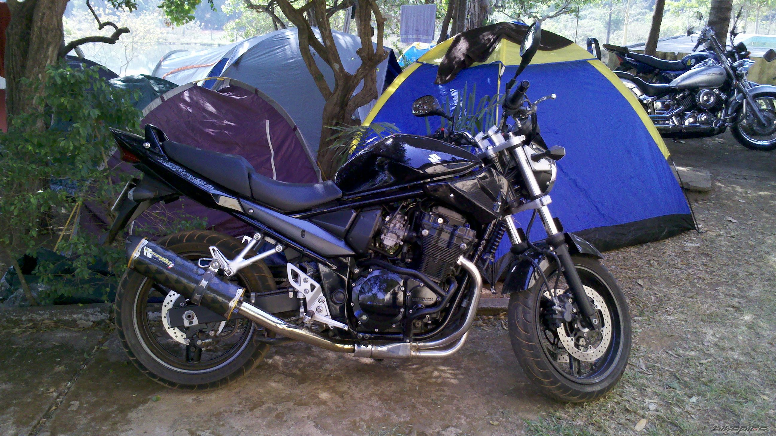 2008 SUZUKI BANDIT 650 | Picture 2341205 motorcycle photo
