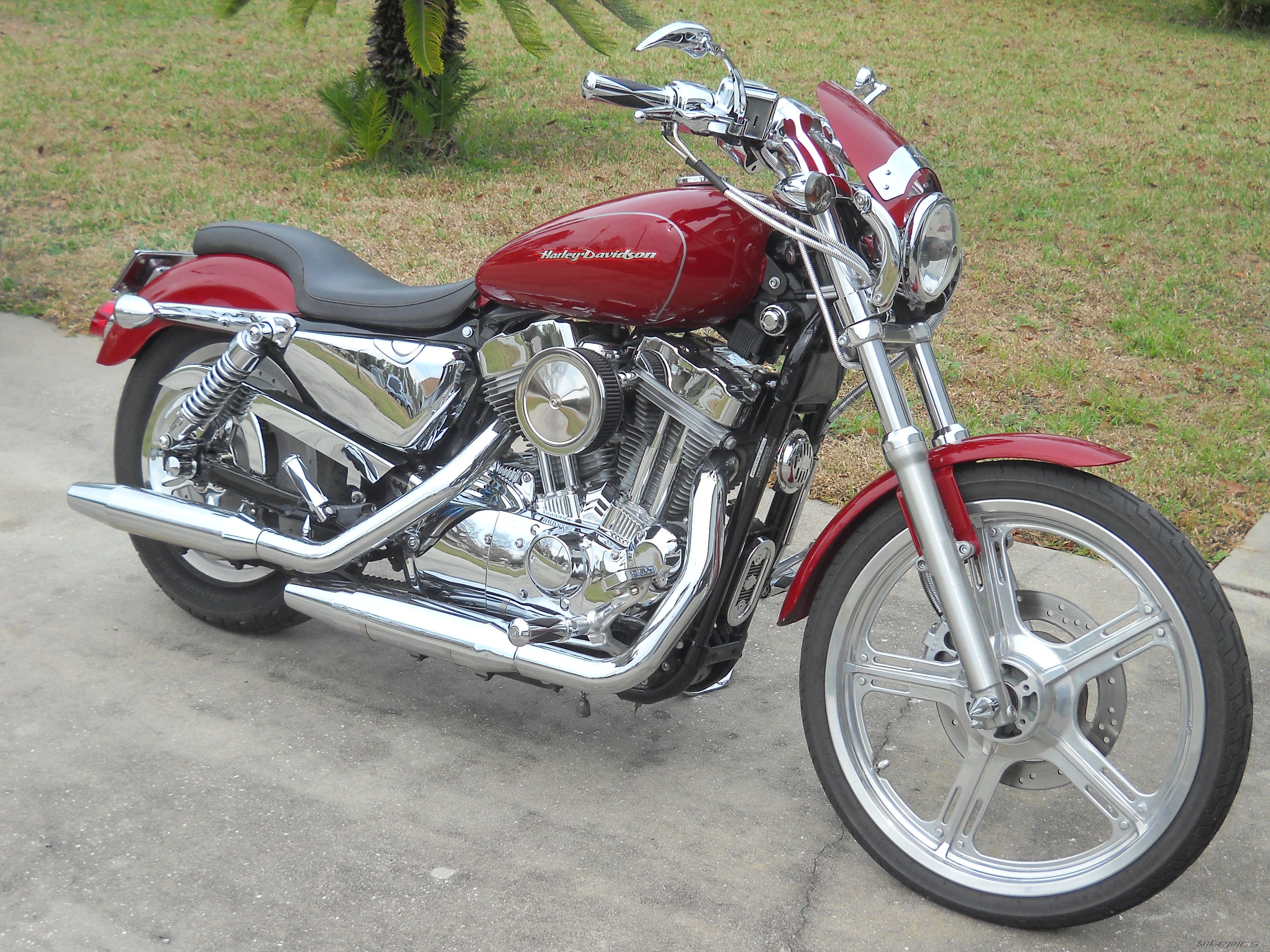 2006 HARLEY DAVIDSON XL 883 CUSTOM | Picture 2342129 motorcycle photo