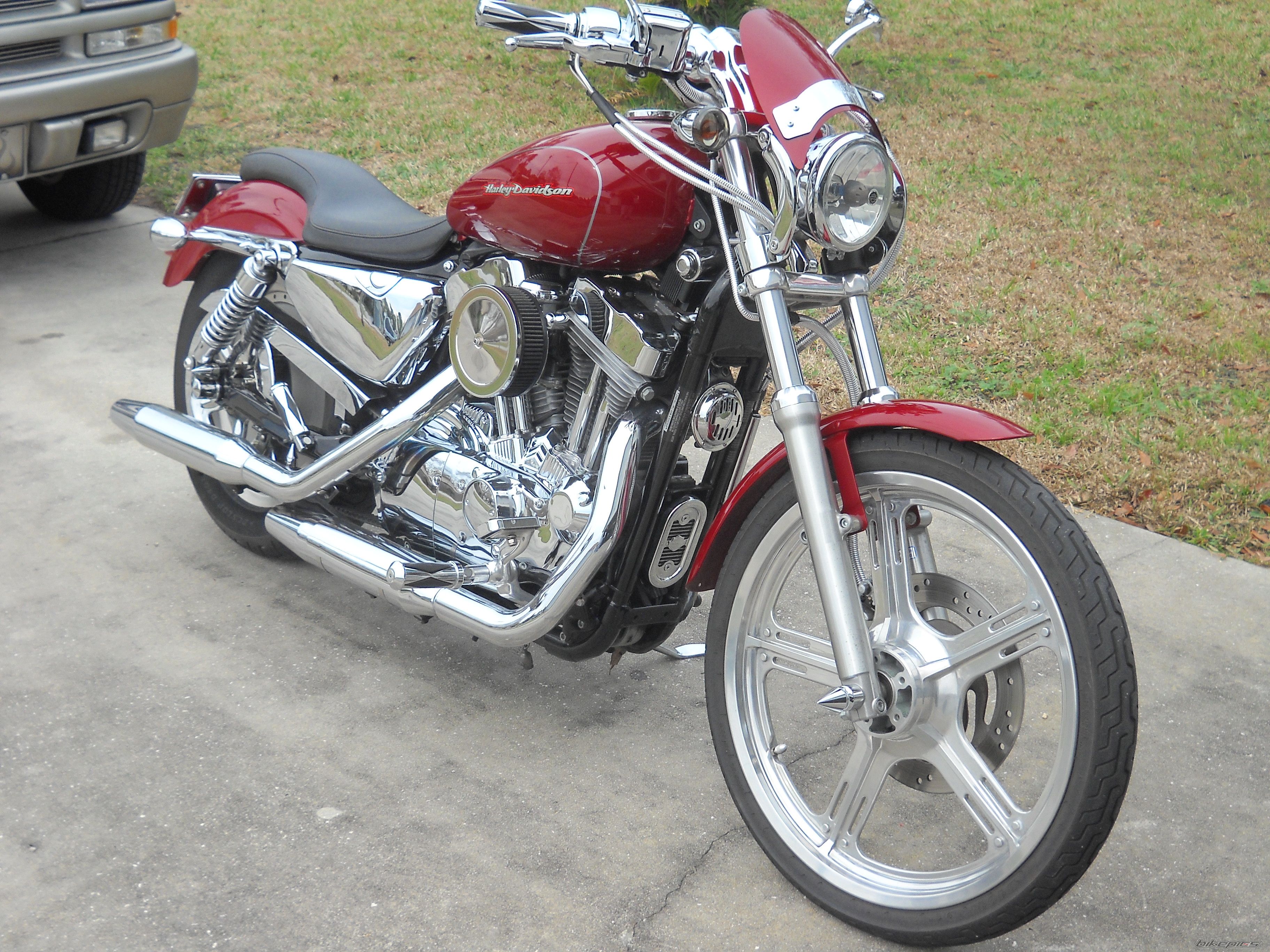 2006 HARLEY DAVIDSON XL 883 CUSTOM | Picture 2342132 motorcycle photo