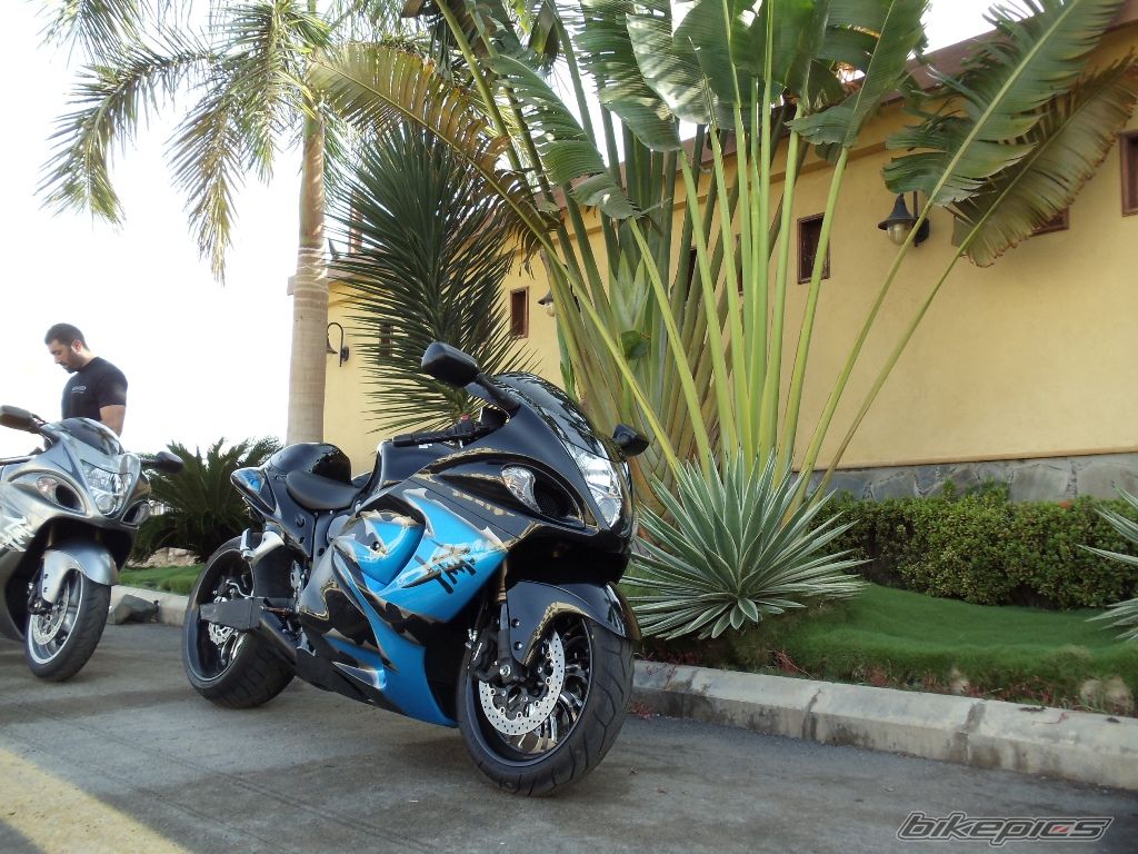 2009 SUZUKI HAYABUSA | Picture 2343474 motorcycle photo