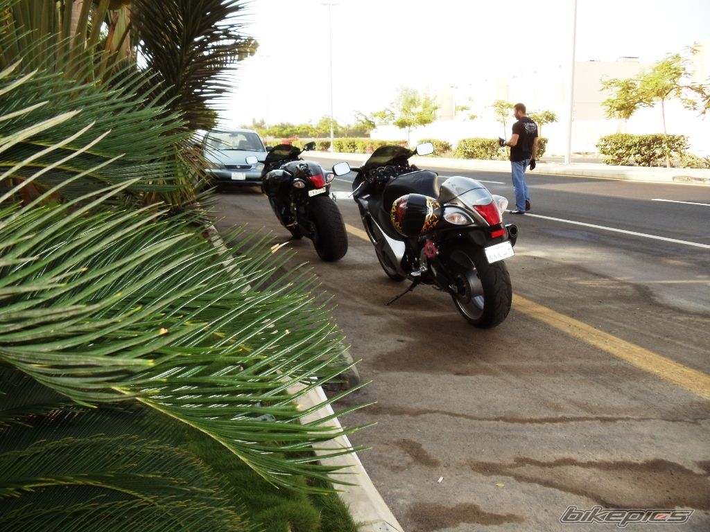 2009 SUZUKI HAYABUSA | Picture 2343488 motorcycle photo