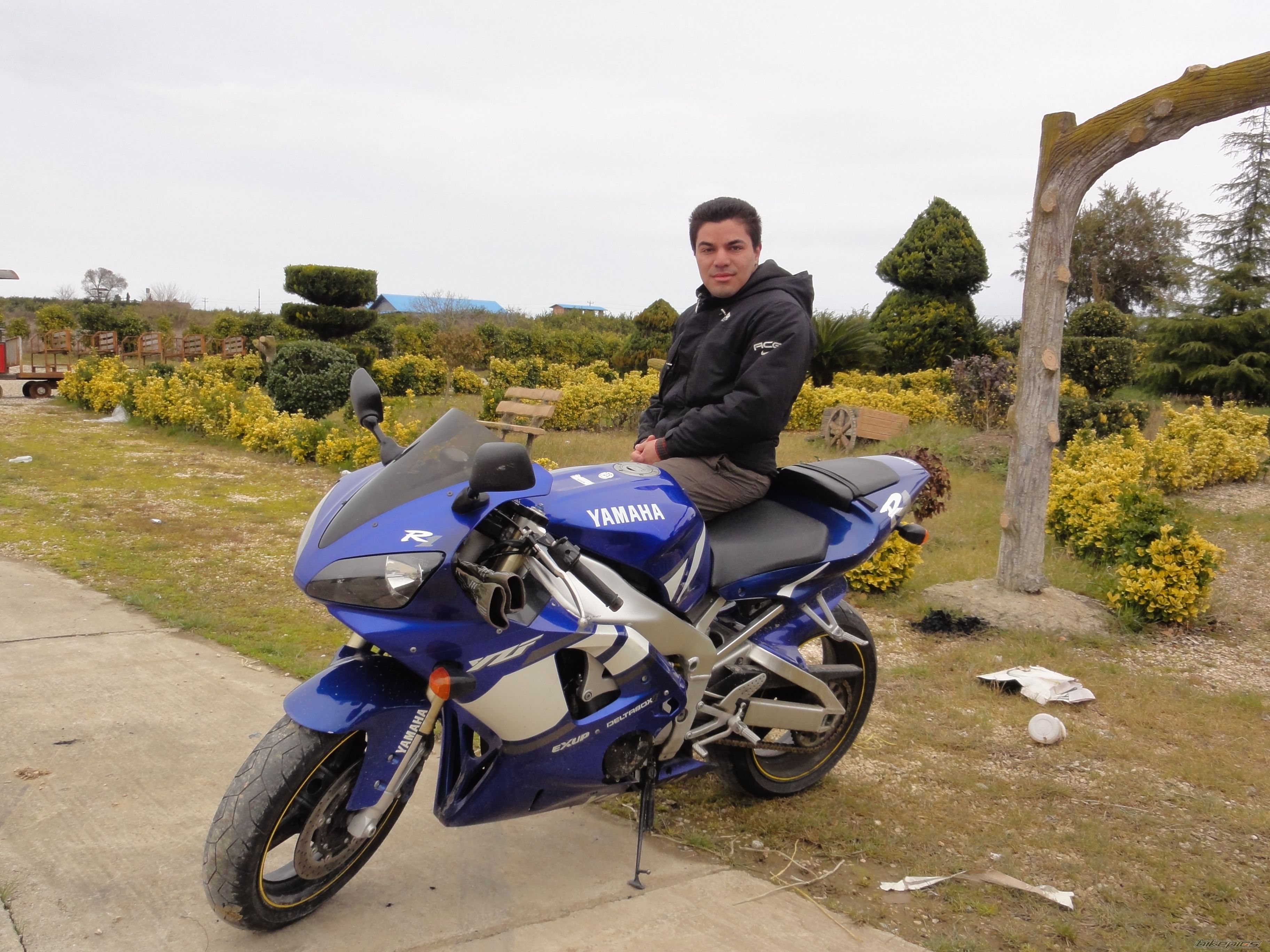 2002 YAMAHA YZF R1 | Picture 2346023 motorcycle photo