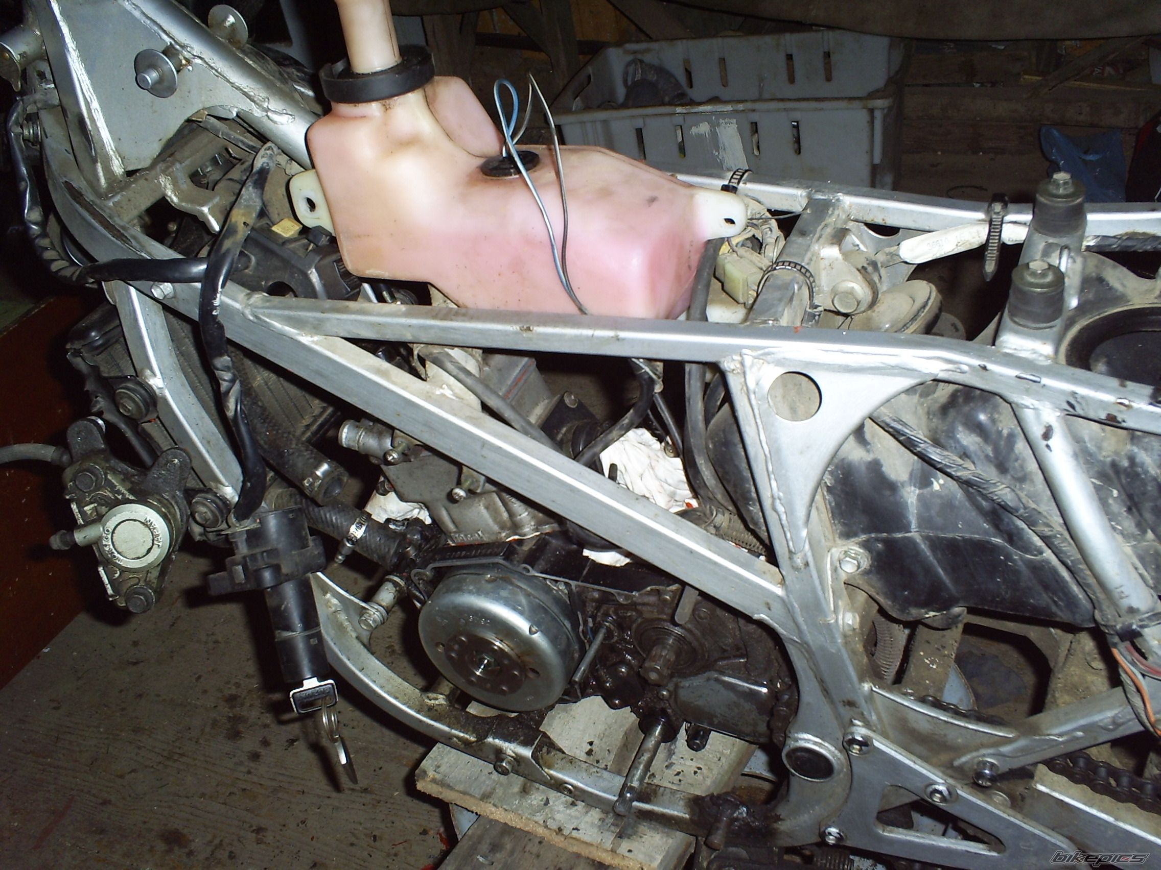 1994 SUZUKI RG 80 | Picture 2346157 motorcycle photo