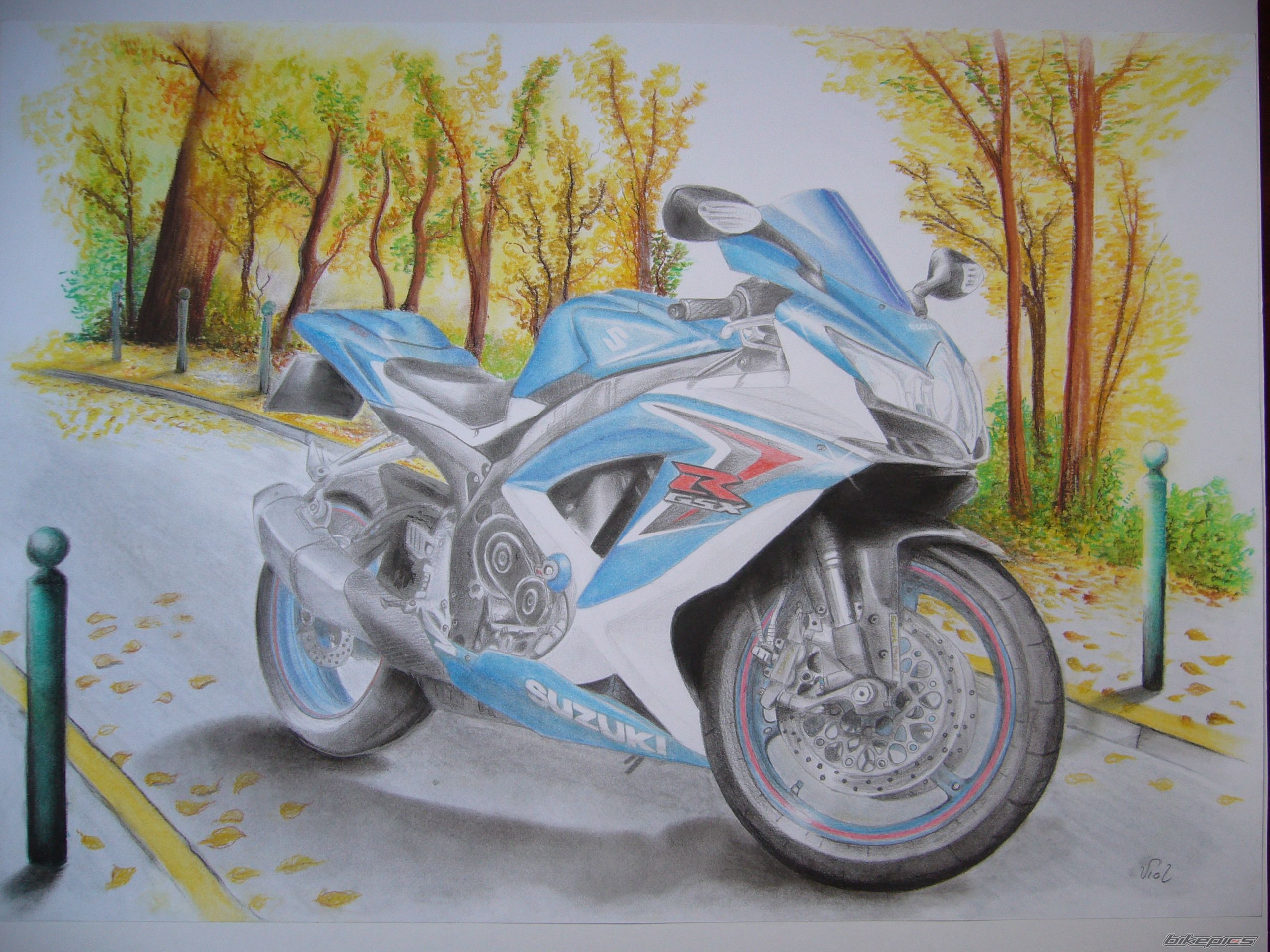 2008 SUZUKI GSX R 750 | Picture 2346824 motorcycle photo