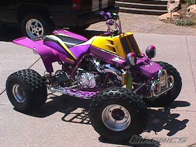 1995 YAMAHA BANSHEE | Picture 23469 motorcycle photo