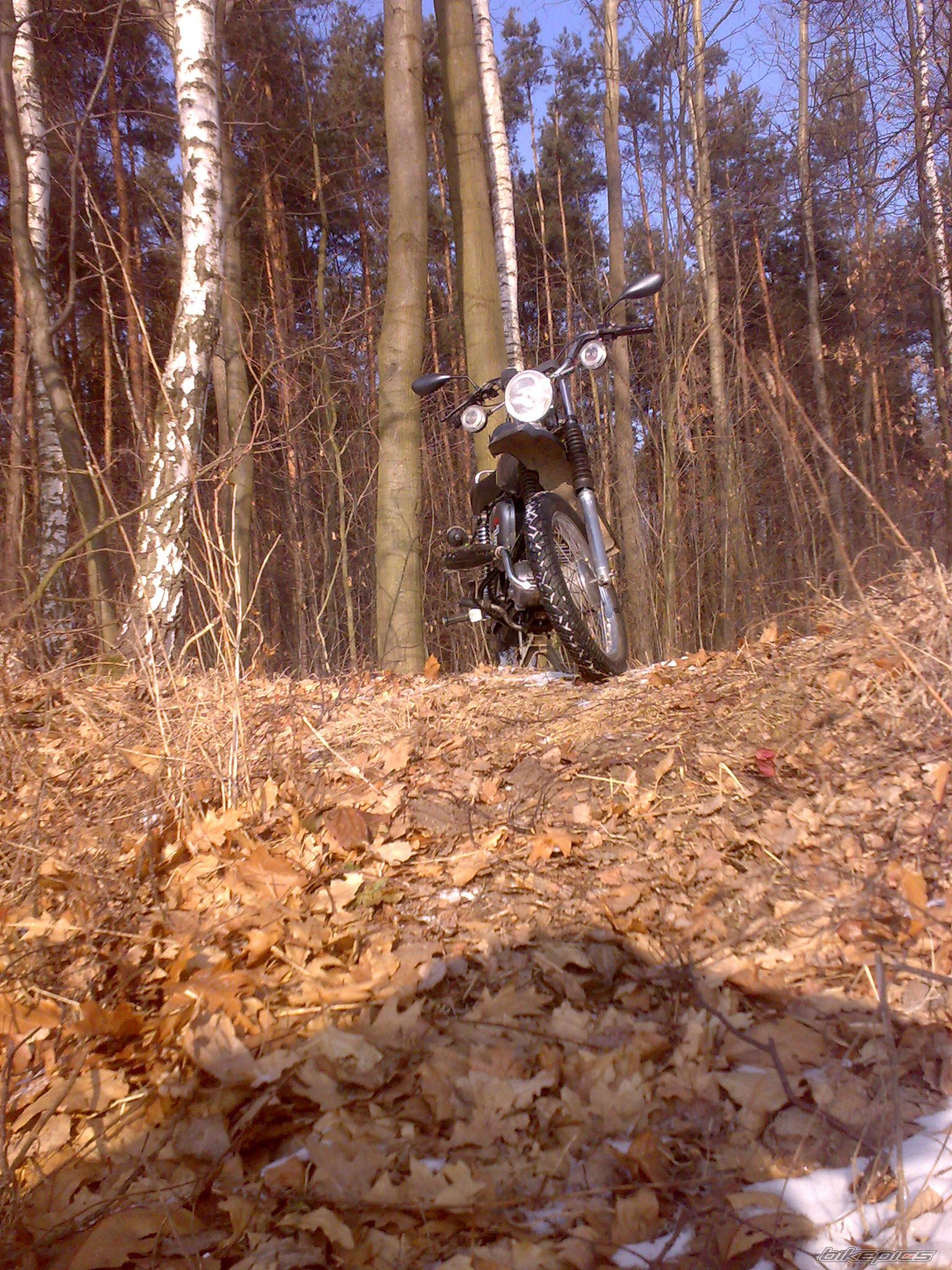 1991 SIMSON S51 ENDURO | Picture 2347035 motorcycle photo