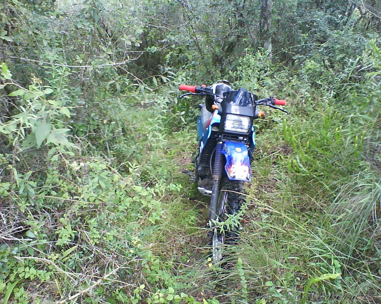 1995 AGRALE ELEFANTR%C3%A9 30.0 | Picture 2347144 motorcycle photo