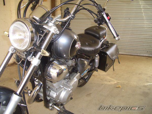 2000 YAMAHA VIRAGO 250 | Picture 2347889 motorcycle photo