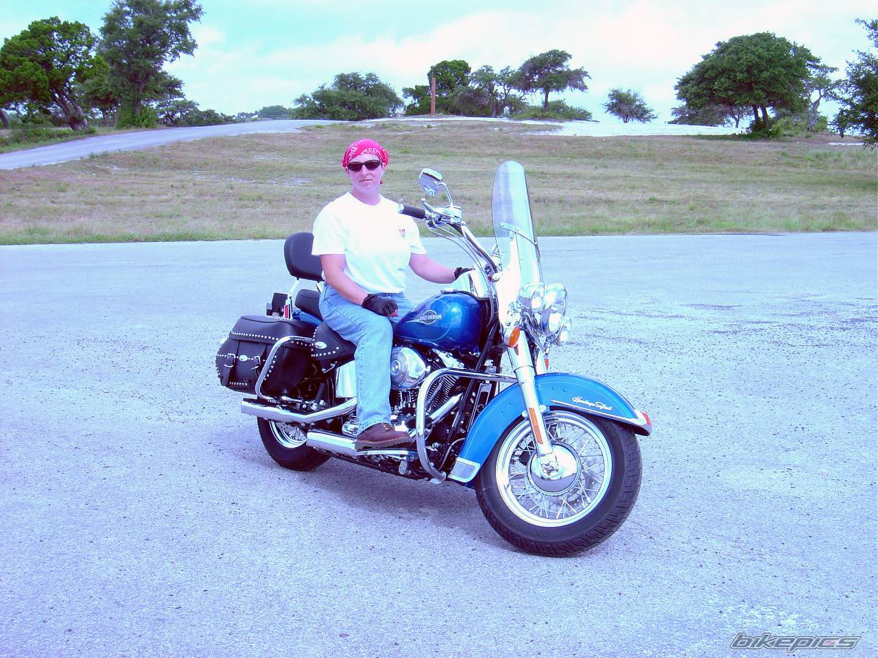 2005 HARLEY DAVIDSON FLSTC | Picture 234940 motorcycle photo
