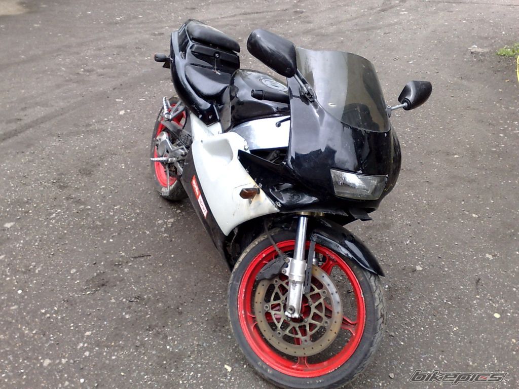 1993 APRILIA AF1 SPORT PRO 125 | Picture 2349618 motorcycle photo