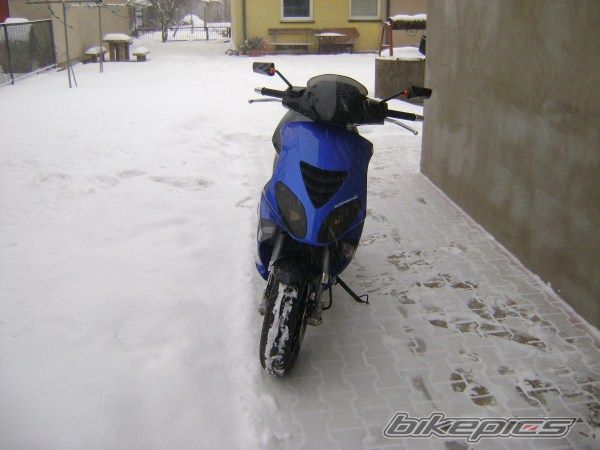 2005 PIAGGIO NRG | Picture 2349821 motorcycle photo