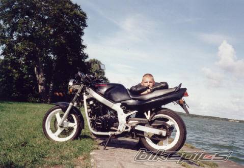1995 SUZUKI GS 500 | Picture 23508 motorcycle photo