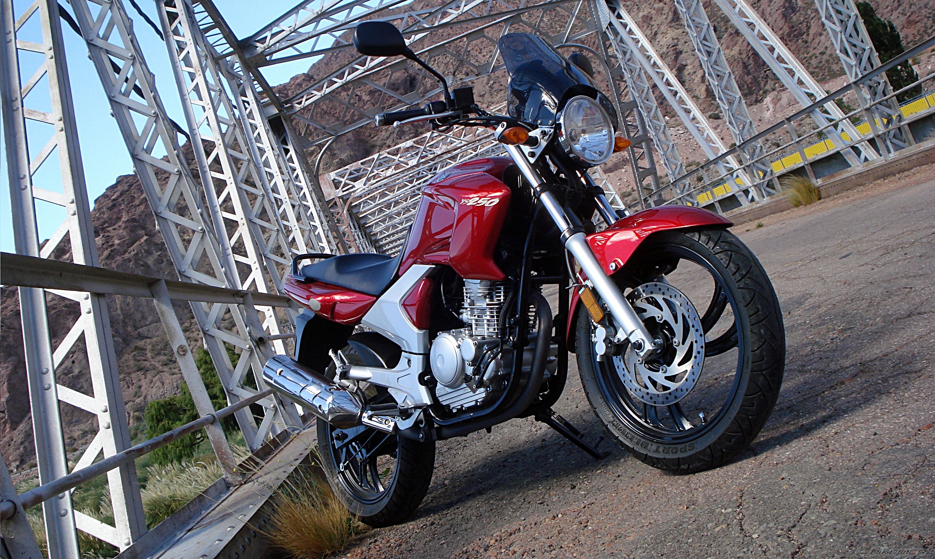 2010 YAMAHA FAZER 250 | Picture 2351013 motorcycle photo
