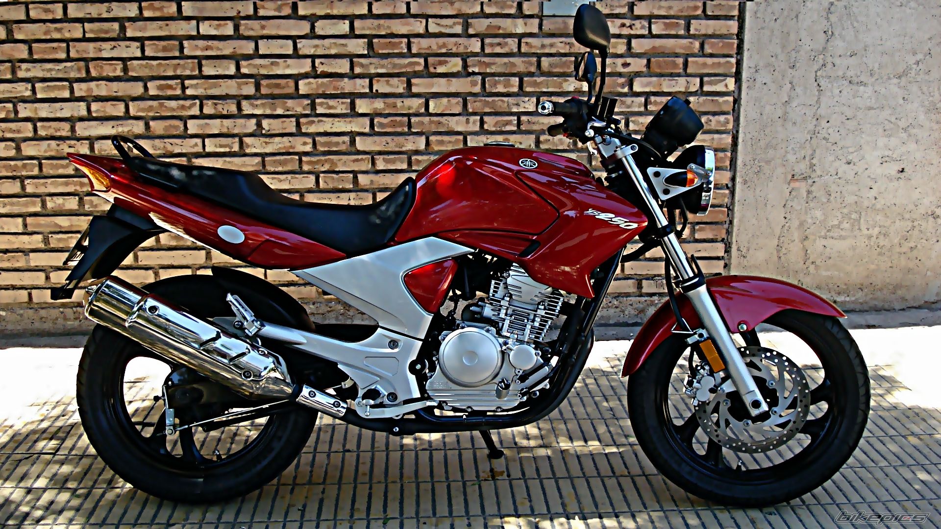 2010 YAMAHA FAZER 250 | Picture 2351023 motorcycle photo