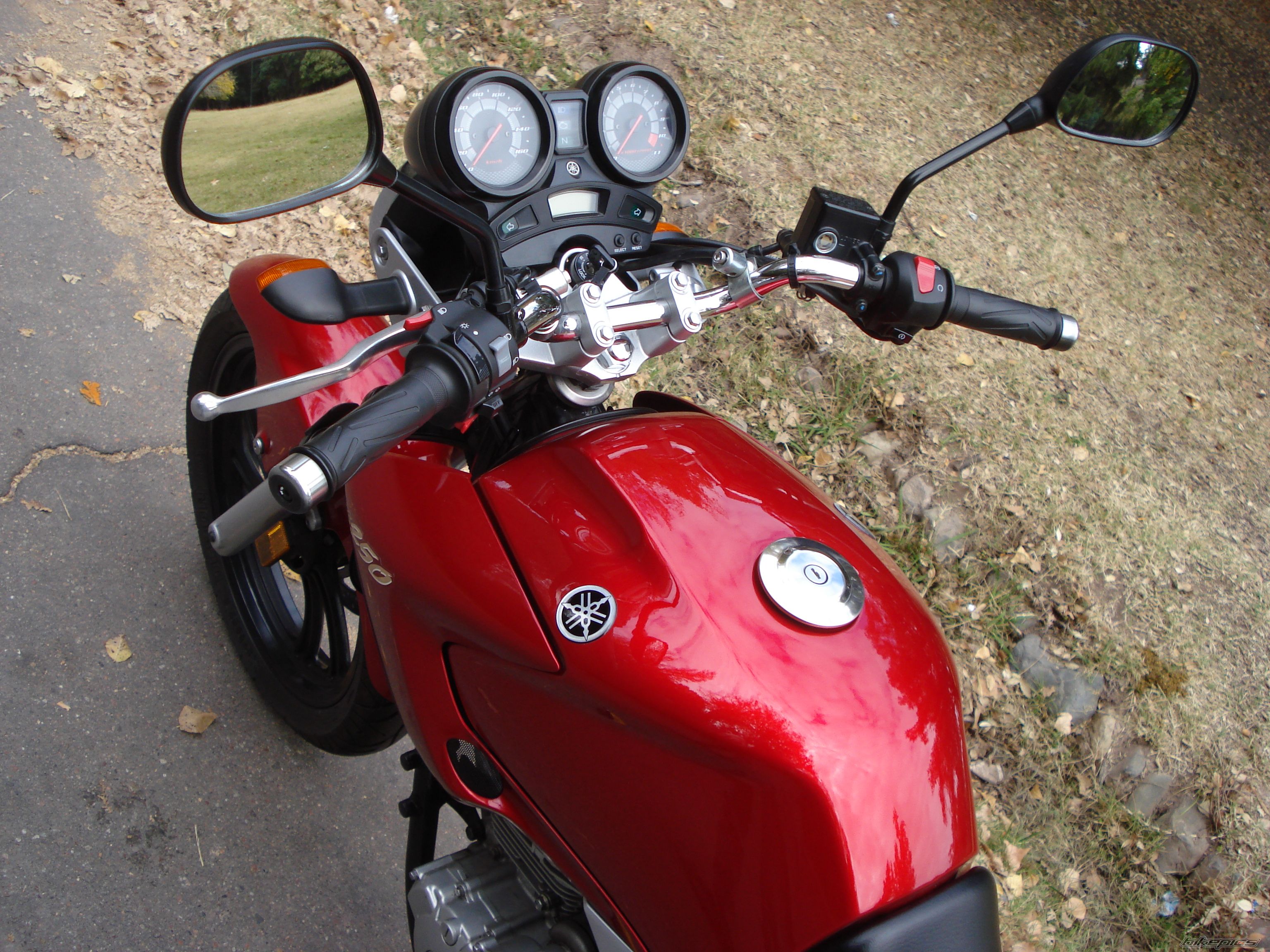2010 YAMAHA FAZER 250 | Picture 2351034 motorcycle photo