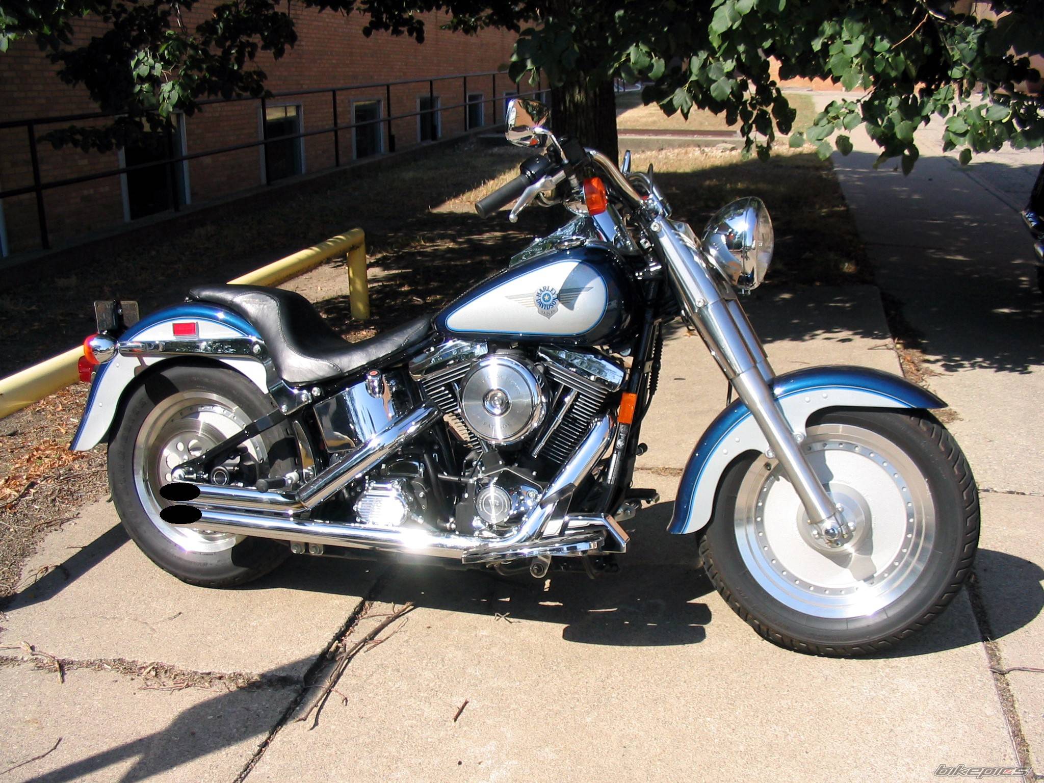 1998 HARLEY DAVIDSON FLSTF | Picture 235215 motorcycle photo