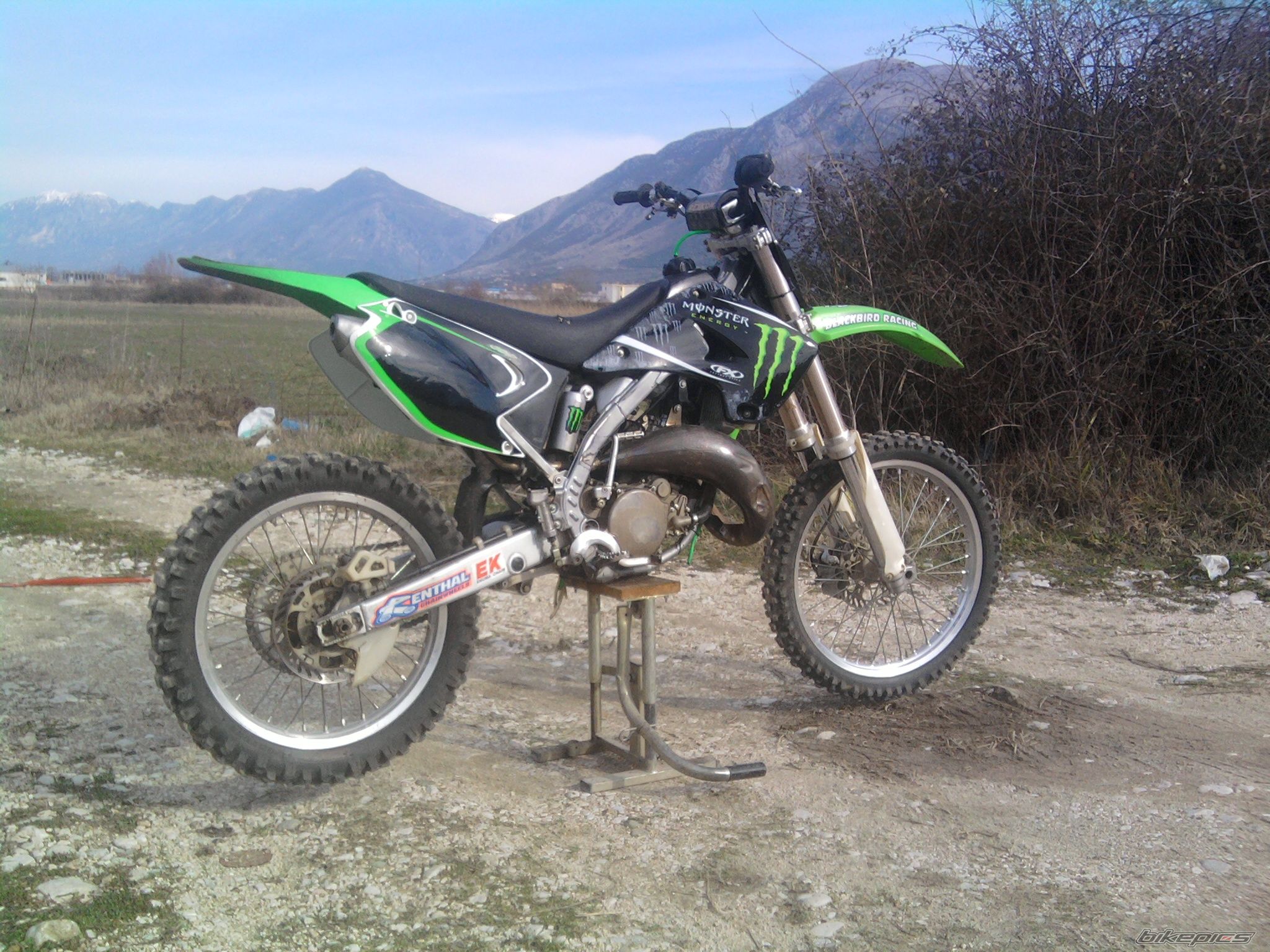 2005 KAWASAKI KX 125 | Picture 2352281 motorcycle photo