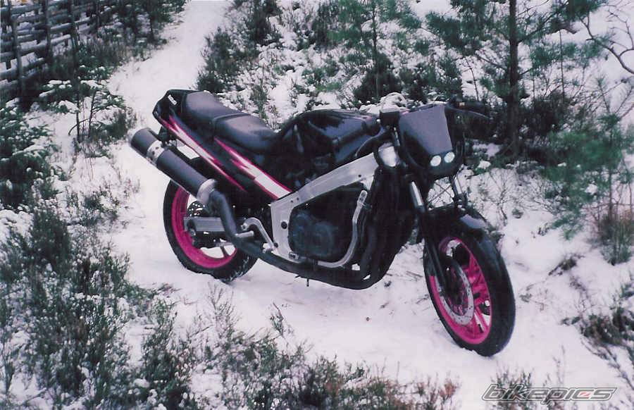 1987 SUZUKI GSX R 400 | Picture 235243 motorcycle photo