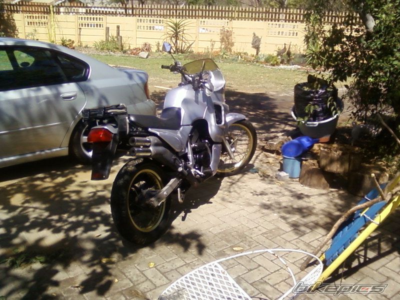1993 HONDA TRANSALP RALLY TOURING | Picture 2352514 motorcycle photo