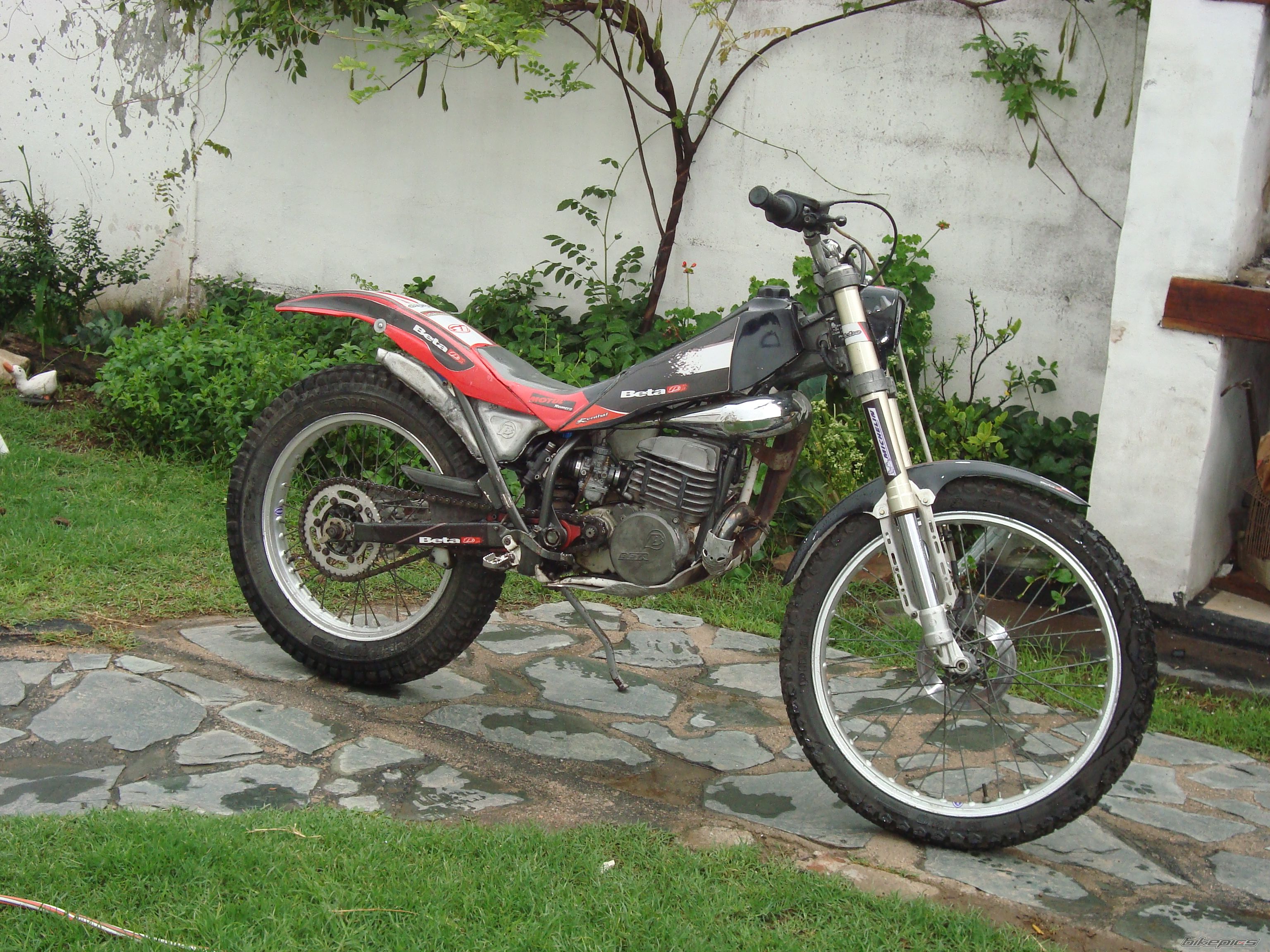 1993 BETA REV3 250 | Picture 2353829 motorcycle photo