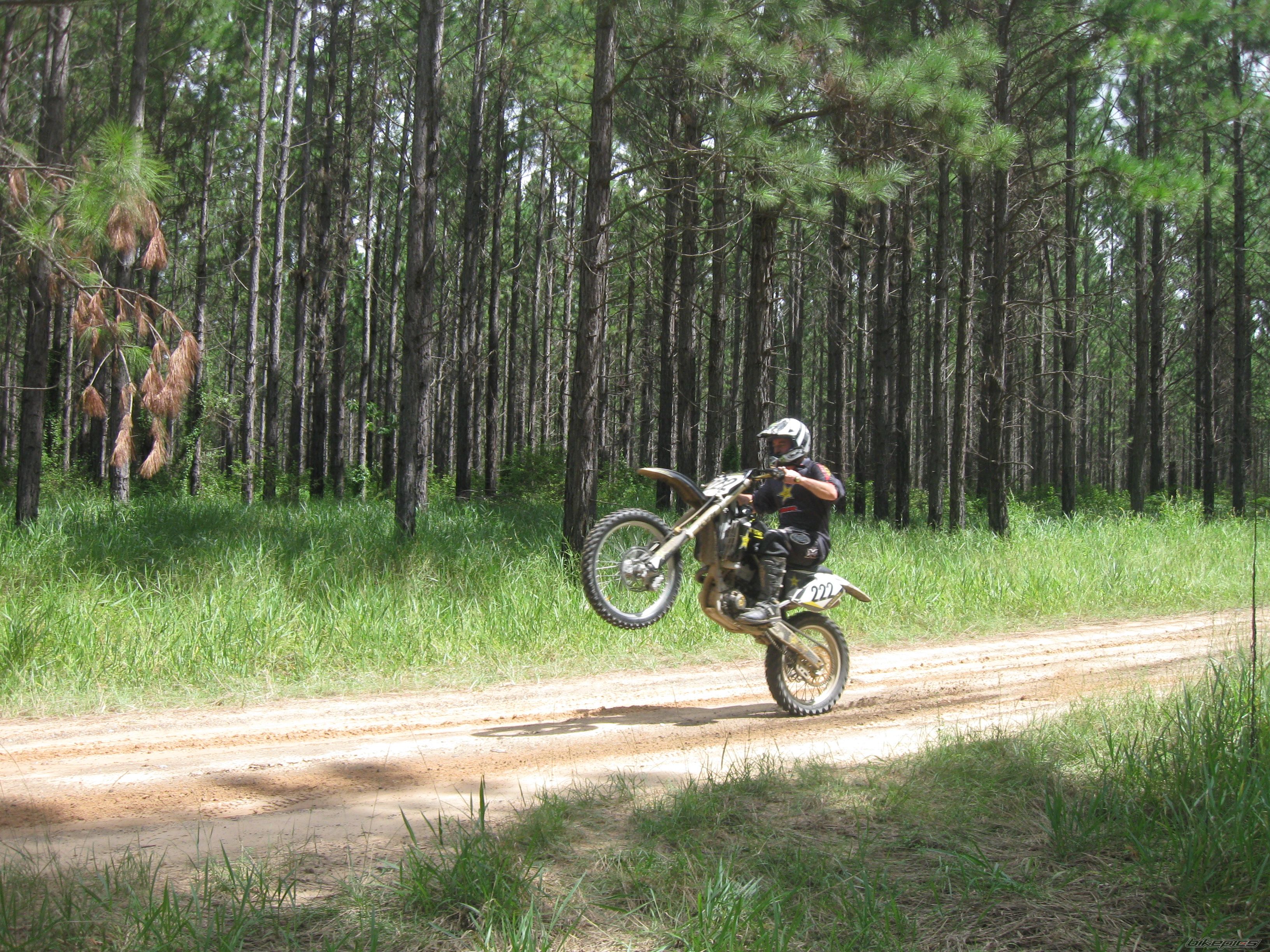 2007 YAMAHA YZF  500 | Picture 2354560 motorcycle photo