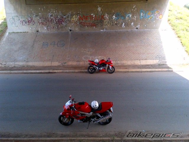 1998 HONDA VTR 1000 | Picture 2354746 motorcycle photo