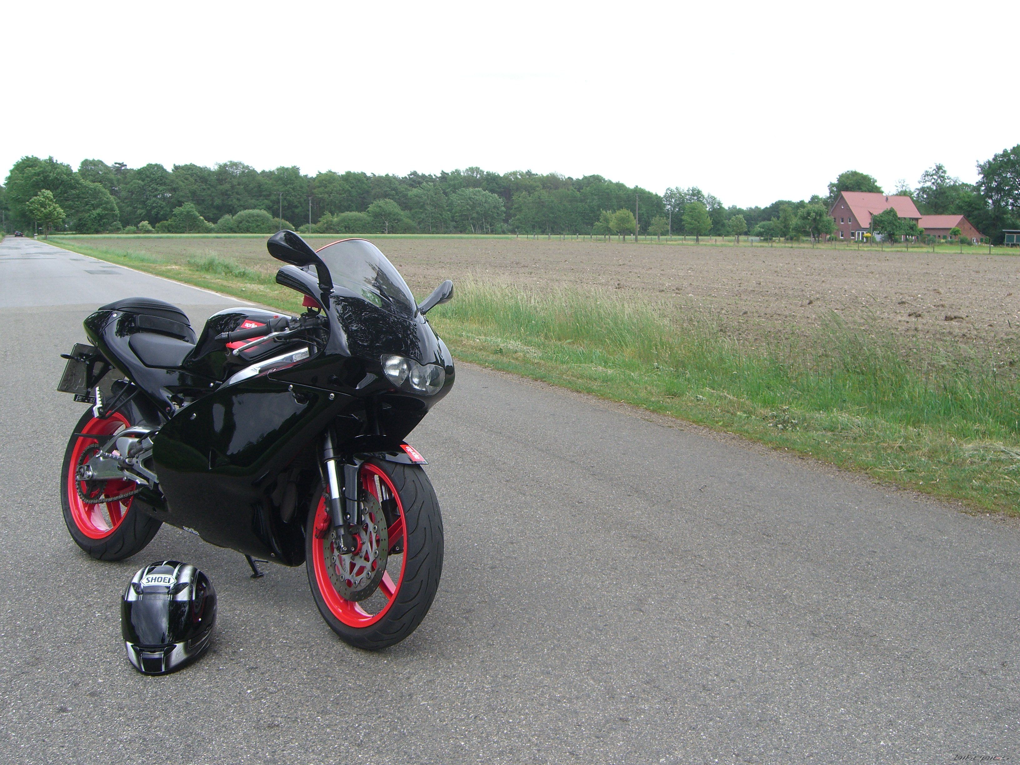 2003 APRILIA RS 125 | Picture 2354833 motorcycle photo