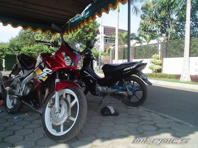 2003 HONDA CBR 150 | Picture 235484 motorcycle photo
