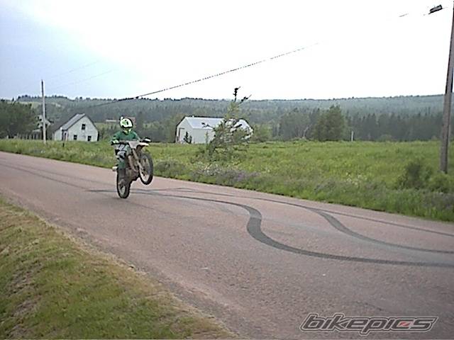 1980 KAWASAKI KX 500 | Picture 235717 motorcycle photo