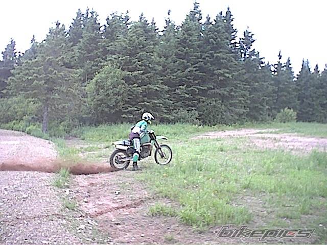 1980 KAWASAKI KX 500 | Picture 235719 motorcycle photo