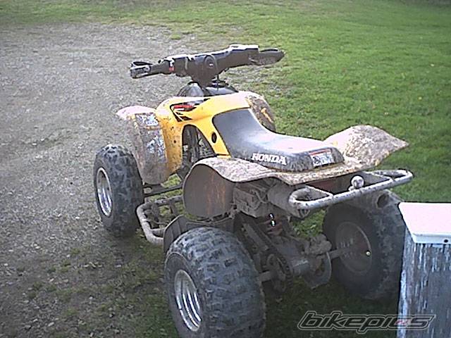 2002 HONDA 300EX | Picture 235725 motorcycle photo