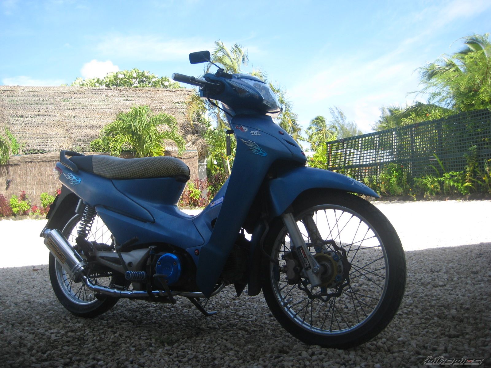 2009 HONDA WAVE 100 | Picture 2357269 motorcycle photo