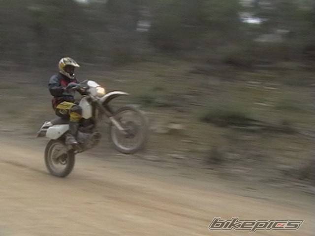 1997 SUZUKI DR 350 | Picture 235744 motorcycle photo