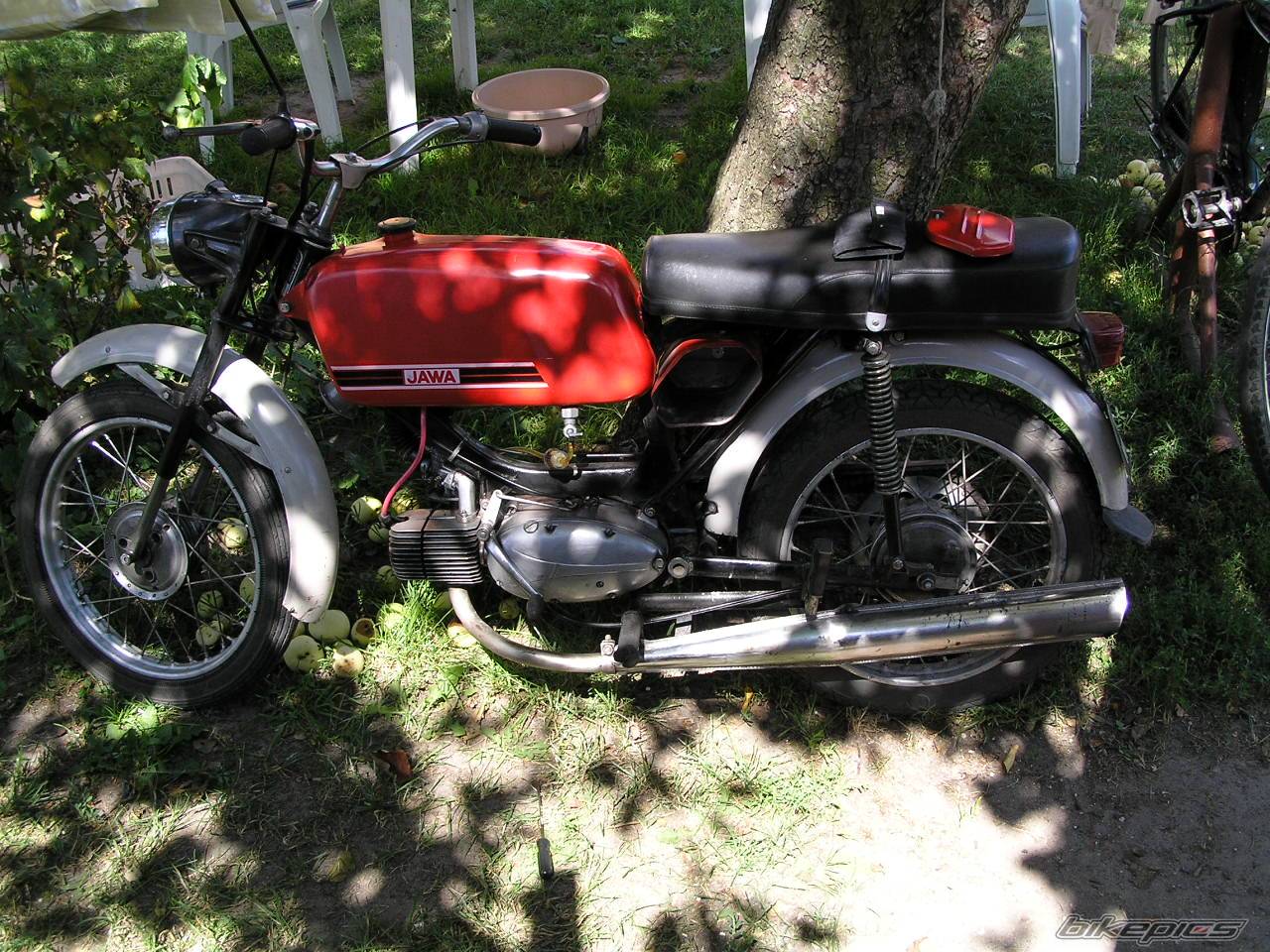 1978 JAWA MUSTANG 50 | Picture 235807 motorcycle photo