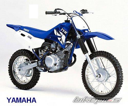 2002 YAMAHA TTR 250 | Picture 235813 motorcycle photo