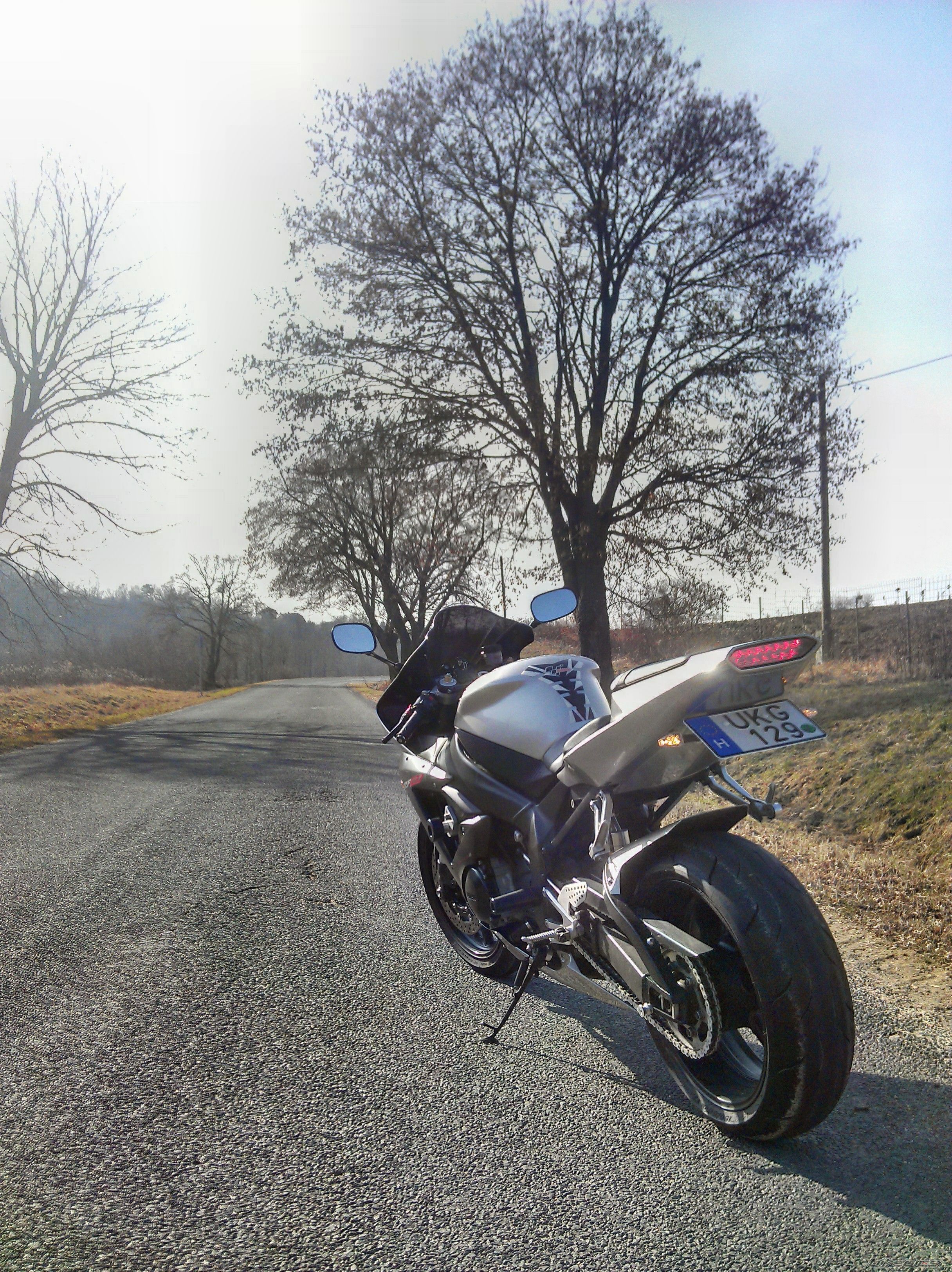 2003 YAMAHA YZF R1 | Picture 2359516 motorcycle photo
