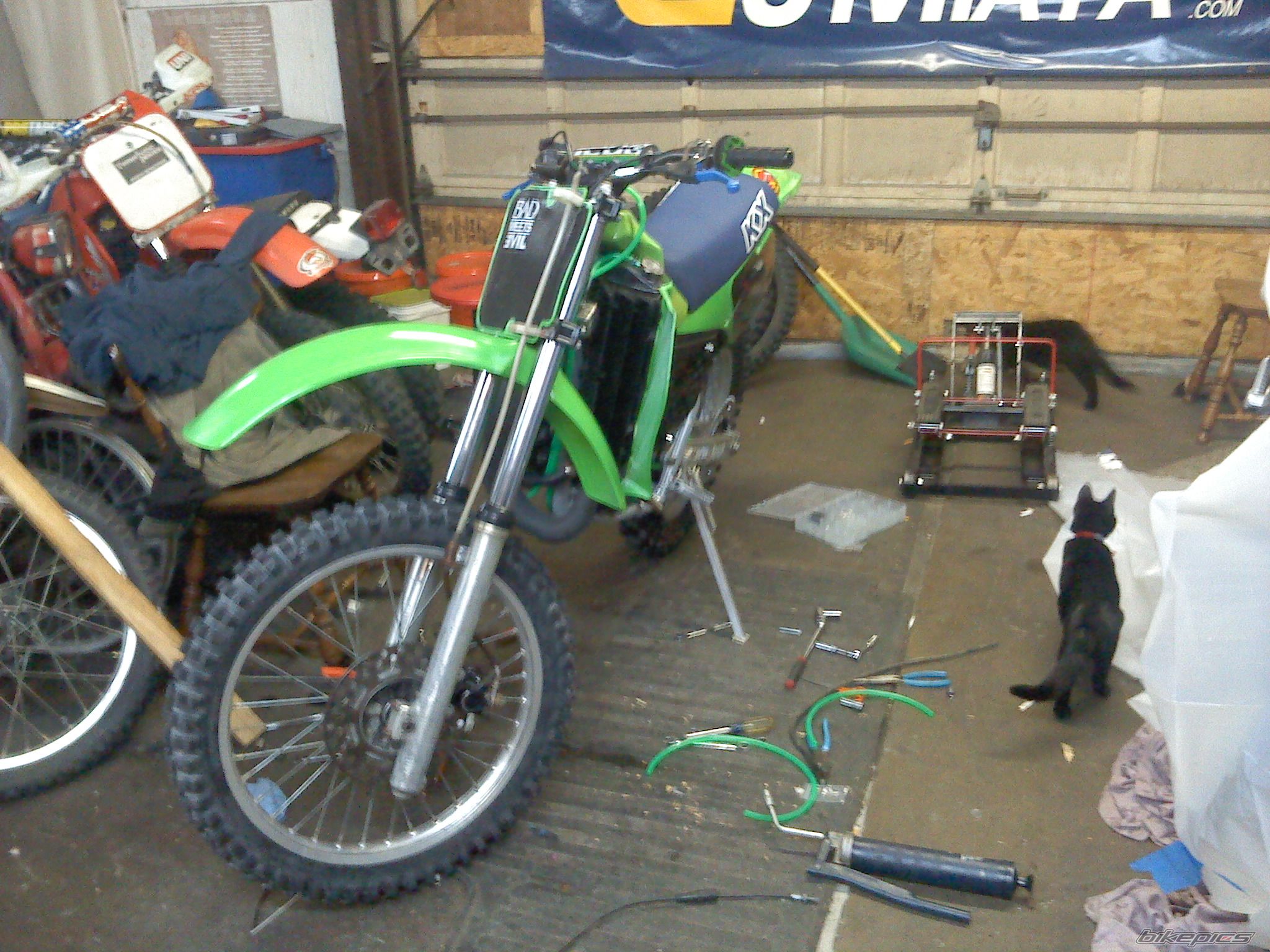 1985 KAWASAKI KX 125 | Picture 2359786 motorcycle photo