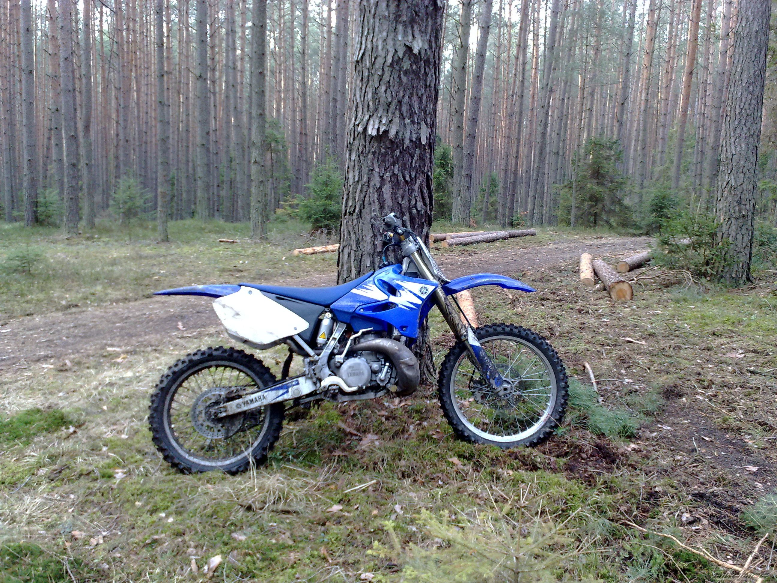 2005 YAMAHA YZ 250 | Picture 2359951 motorcycle photo