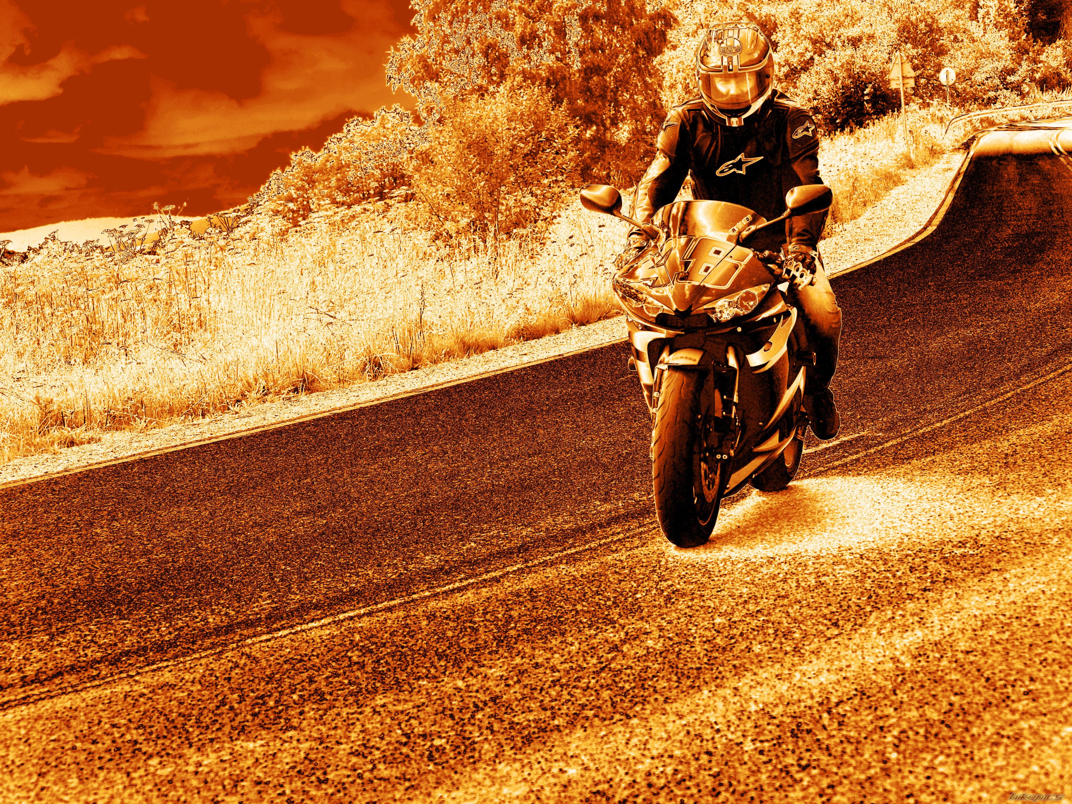 2005 YAMAHA YZF R6 | Picture 2360092 motorcycle photo