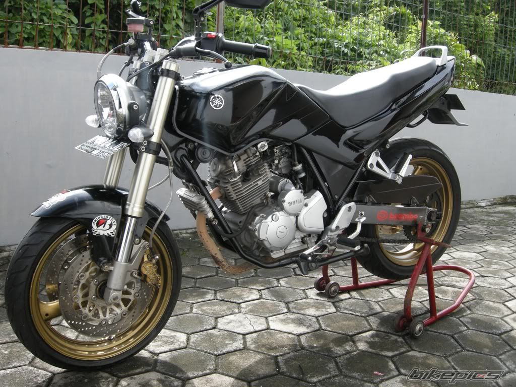 2009 YAMAHA SCORPIO 225 | Picture 2360355 motorcycle photo