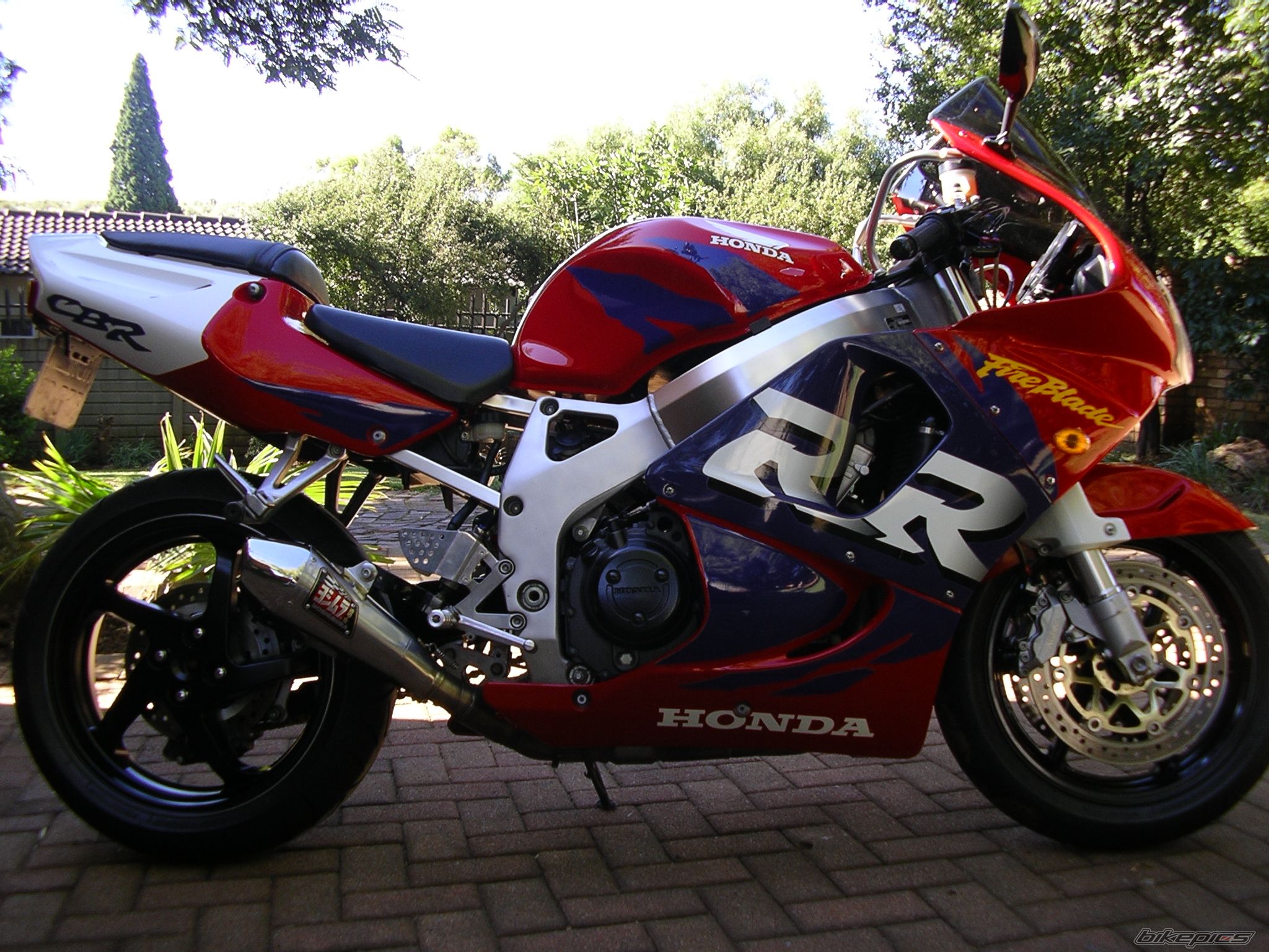 1998 HONDA CBR 900 | Picture 2360808 motorcycle photo